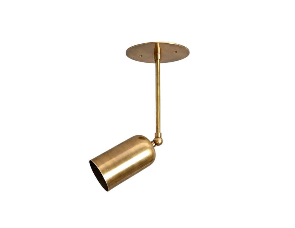 Single Ceiling Brass Arm Spotlight