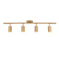 Four Ceiling Spot Light Fixture __etsy:7588226495