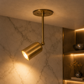 Single Ceiling Brass Arm Spotlight